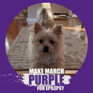 Meet your Posher, Barb